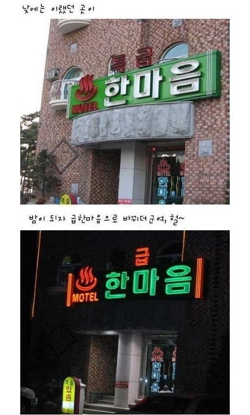 특급 한마음.jpg 특급 한마음 